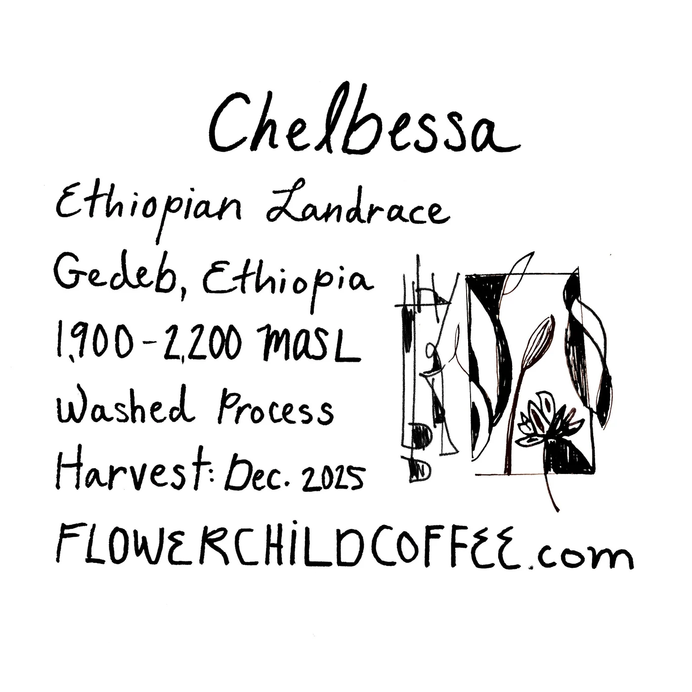 Chelbessa