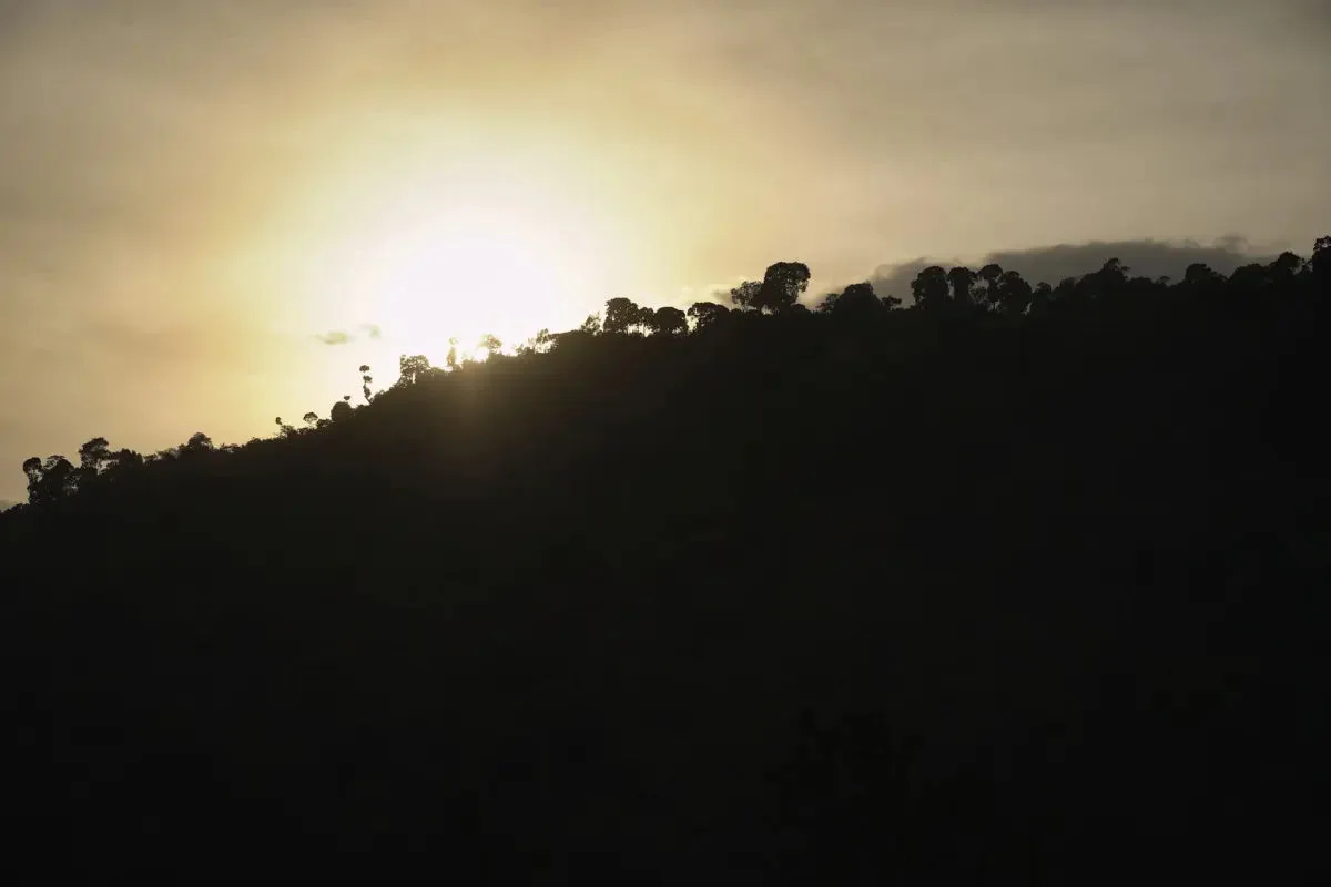 Landscape surrounding the Danche coffee station
